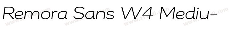 Remora Sans W4 Mediu字体转换